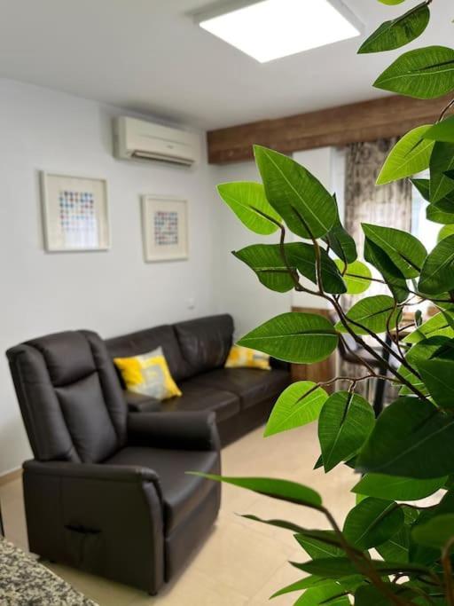Lejlighed Encantador Apartamento Centro